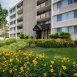 picture for listing: 1818 Metzerott Rd Unit D21